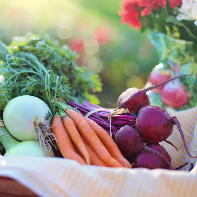 8 Variétés de graines de légumes pour votre jardin potager facile