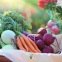 Graines de légumes pour votre jardin potager facile - Pack de 8 variétés
