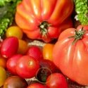 Tomates classiques et originales - Pack de 7 sachets de graines