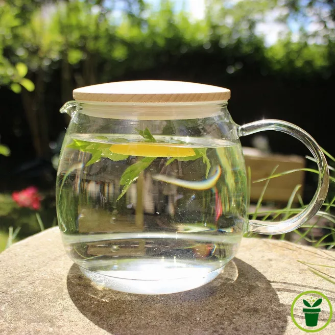 Pack de graines pour tisanes : menthe, camomille, mélisse, thym et valériane