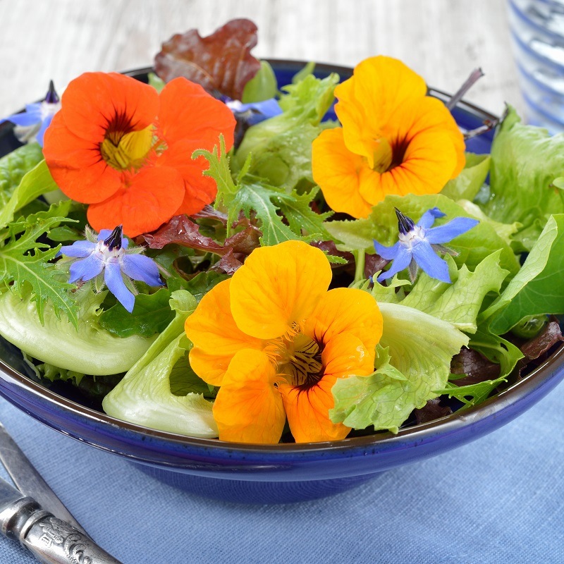 Pack de graines de fleurs comestibles à semer