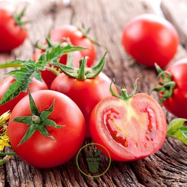 Tomate cerise Maja (naine) Tomate cerise Maja (naine)