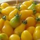 Tomate Yellow Pearshaped (poire jaune)
