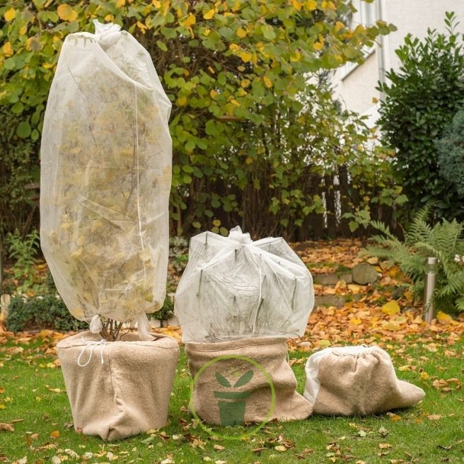 Protéger les récoltes des arbres fruitiers du gel