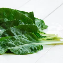 Poirée - Bette épinard