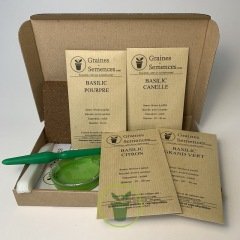 Basilics - Kit de 5 variétés prêt à semer