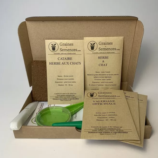 Bien-être des chats - Kit de 5 variétés prêt à semer