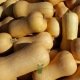 COURGE WALDHAM BUTTERNUT 10 graines