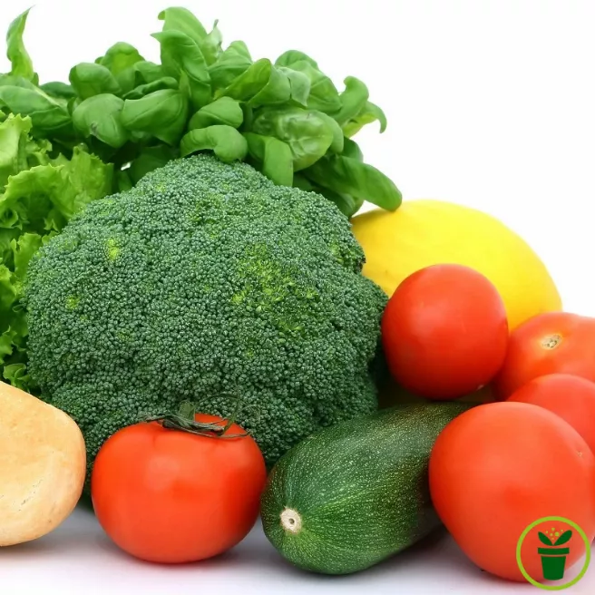 Légumes indispensables à semer en été - pack de 5 variétés