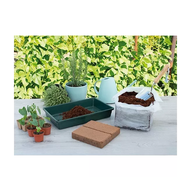 Terreau compressé pour semis et culture