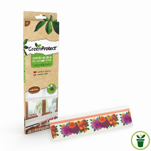 Piège à mouches et à drosophiles pour fenêtre 6 pièces sans insecticide