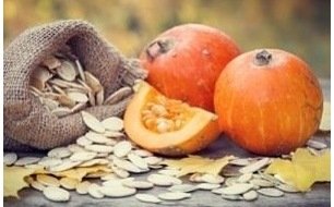 Les graines à semer pour jardin et potager : prévoir ses achats en hiver