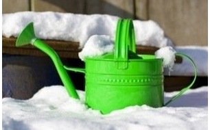 Travaux préparatoires en janvier pour votre jardin et votre potager