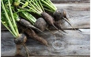 Le radis noir ou d’hiver : le légume-racine détox!