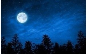Pourquoi réaliser vos semis en fonction de la Lune ?  Pourquoi réaliser vos semis en fonction de la Lune ?
