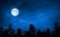 Pourquoi réaliser vos semis en fonction de la Lune ? 