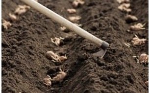 Les travaux et semis à réaliser au jardin en avril