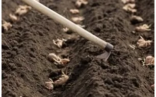 Les travaux et semis à réaliser au jardin en avril