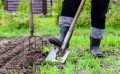Travaux et semis à réaliser au jardin en mai