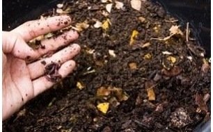 Comment réaliser un bon compost pour vos cultures de légumes?  Comment réaliser un bon compost pour vos cultures de légumes?