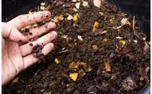 Comment réaliser un bon compost pour vos cultures de légumes? 