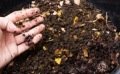 Comment réaliser un bon compost pour vos cultures de légumes? 