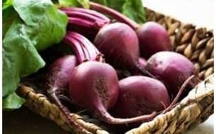 Les betteraves potagères : semer et cultiver ce légume ancien 