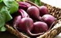 Les betteraves potagères : semer et cultiver ce légume ancien 