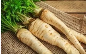 Le persil tubéreux : semis et culture de ce légume-racine