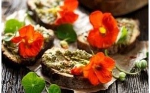 Les fleurs comestibles : le jardin d’ornement vous régale !