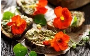 Les fleurs comestibles : le jardin d’ornement vous régale !