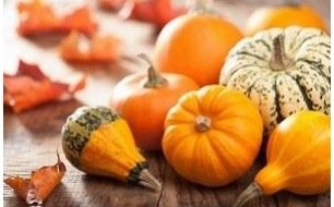 Travaux et semis à réaliser au jardin en octobre