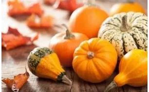 Travaux et semis à réaliser au jardin en octobre