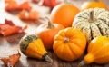 Travaux et semis à réaliser au jardin en octobre