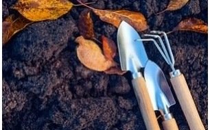 Comment démarrer votre potager ? Nos conseils Comment démarrer votre potager ? Nos conseils