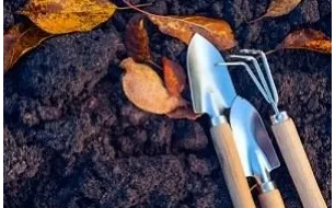 Comment démarrer votre potager ? Nos conseils