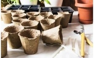 Comment semer en caissette ou en pleine terre ? Définition et matériel Comment semer en caissette ou en pleine terre ? Définition et matériel