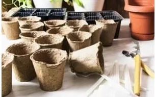 Comment semer en caissette ou en pleine terre ? Définition et matériel