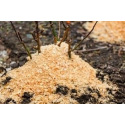 Novembre au jardin : que faire pour bien le préparer à l’hiver ? 