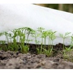 Jardiner en janvier : les premiers semis à l’intérieur