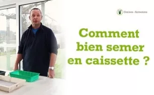 Comment semer efficacement en caissette ou en mini serre ?