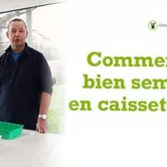 Comment semer efficacement en caissette ou en mini serre ?