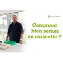 Comment semer efficacement en caissette ou en mini serre ?