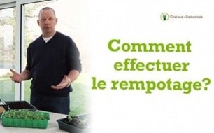 Comment effectuer le rempotage de ses semis ?