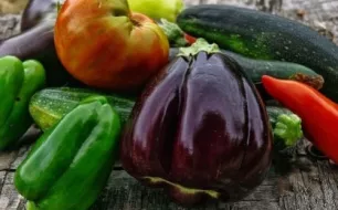 Les travaux à prévoir en août dans le jardin et le potager