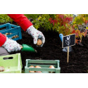Quelles tâches prévoir au jardin en novembre ?