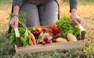 Les 10 légumes faciles à cultiver pour les jardiniers débutants