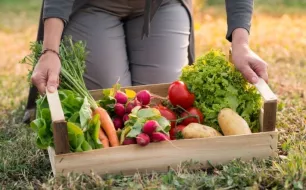 Les 10 légumes faciles à cultiver pour les jardiniers débutants