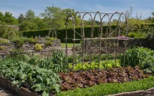 Comment mettre en place la rotation des cultures au potager ?