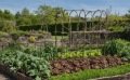 Comment mettre en place la rotation des cultures au potager ?
